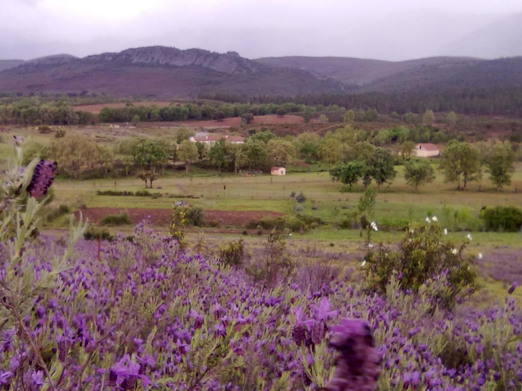 Las Lucias, Experiencias De Ecoturismo Navatrasierra Exterior photo